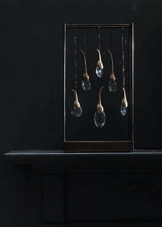 Seed Cloud - Table Portrait