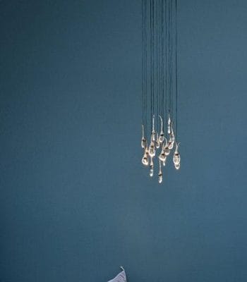 Seed Cloud - Round 18 buds