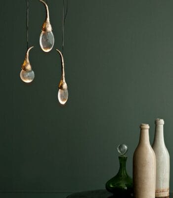 Seed Cloud - Round 3 Buds