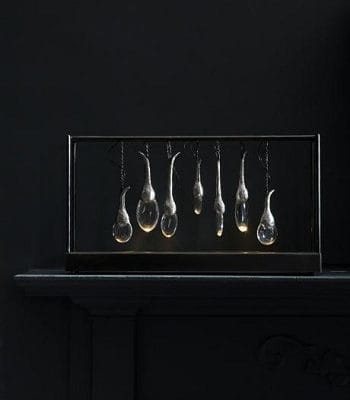 Seed Cloud - Table Landscape