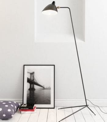 Standing Lamp with 1 head