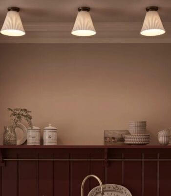 Hector Pleat Ceiling light