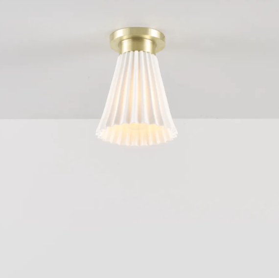 Hector Pleat Ceiling light